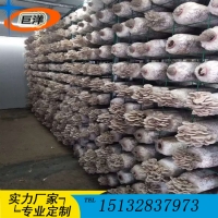 江西省綠色蘑菇網(wǎng)片 現(xiàn)代化大棚出菇網(wǎng)格架 食用菌規(guī)?；B(yǎng)殖架