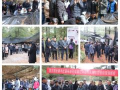 行業(yè)反響熱烈！第五期全國羊肚菌標(biāo)準(zhǔn)化規(guī)模化種植及風(fēng)險防控培訓(xùn)班在云南玉溪舉行