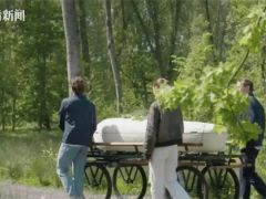 實(shí)現(xiàn)生命循環(huán)！全球首款“蘑菇做的棺材”在英使用