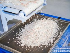 夏季健脾胃、除濕氣，茯苓藥膳用起來